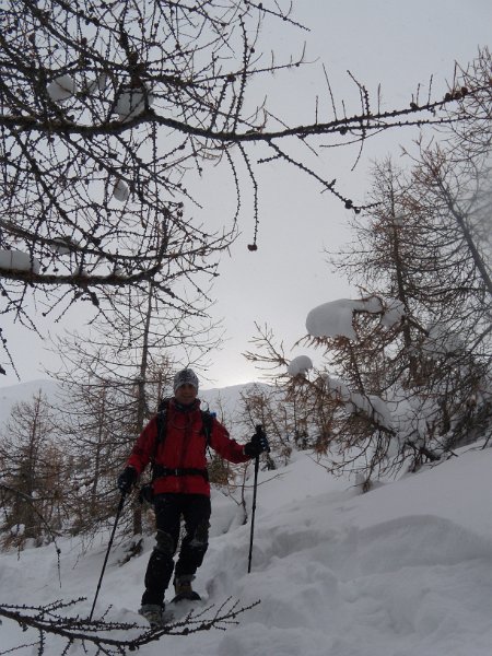 foto novembre 081.jpg